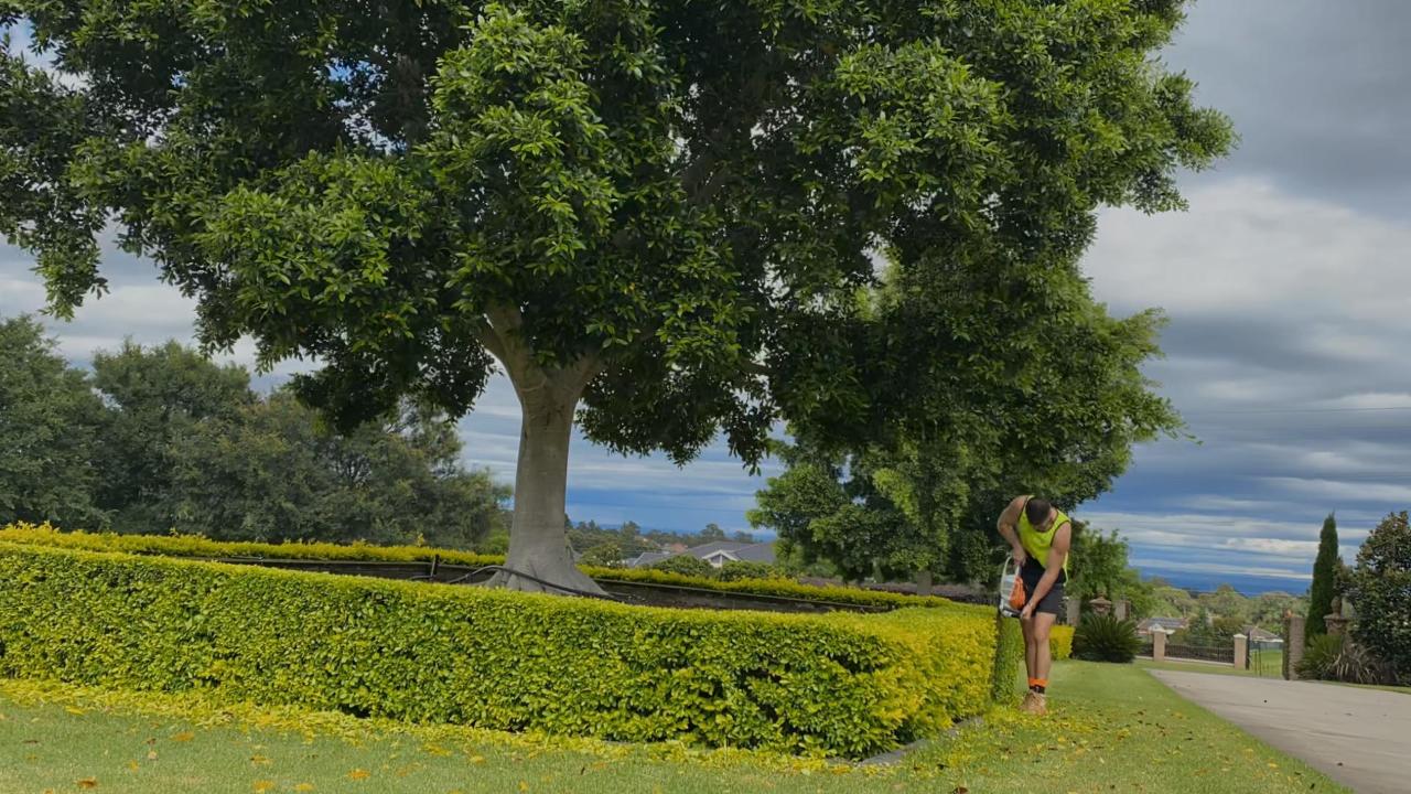 Gardener in hi-vis tidying beside a neatly trimmed hedge under a large tree